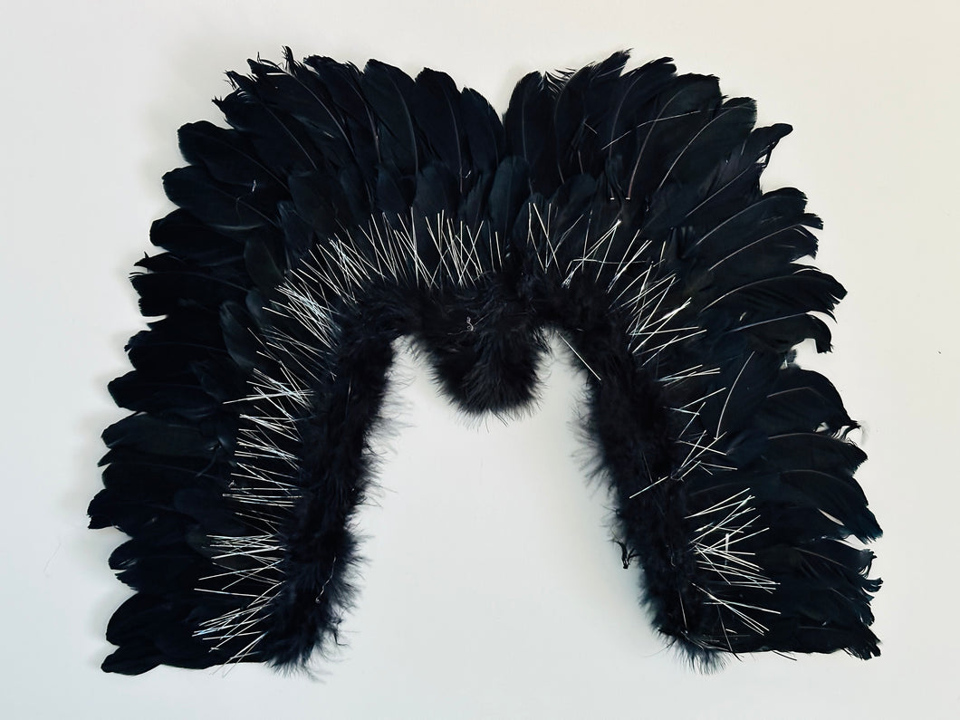 Beautiful feather Halloween wings