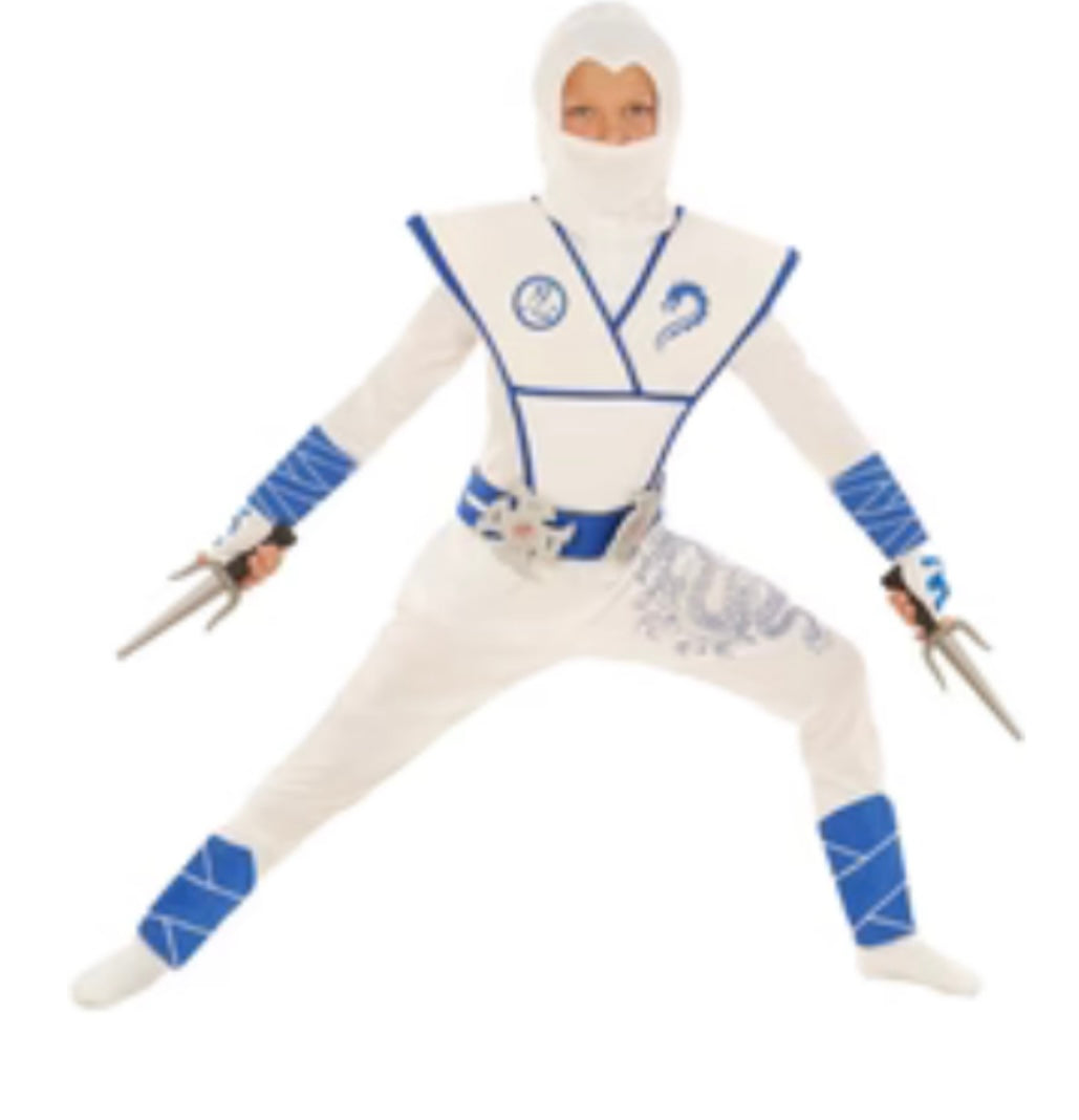 White and blue dragon ninja Halloween costume