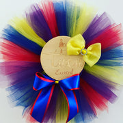 Costume children’s tutu